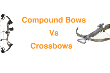 Compound Bow Vs Cross Bow