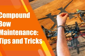 Compound Bow Maintenance: Tips and Tricks